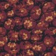 RJR FABRICS - AUTUMN FLARE par Thimbleberries