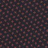 RJR FABRICS - AUTUMN FLARE par Thimbleberries