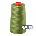 AURIFIL FIL COTON MAKO 50 5900m 2888 Fern Green