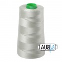 AURIFIL FIL COTON MAKO 40 4700m 2902 Light Laurel Green