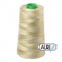 AURIFIL FIL COTON MAKO 40 4700m 4653 Spring Prairie