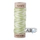 FIL COTON AURIFLOSS AURIFIL 3320 Light Spring Green