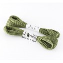 Soie d'Alger N° 3724 Gamme Vert Lys (5m)